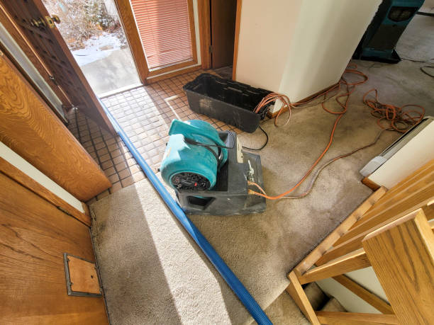 Best 24/7 water damage repair  in Hoover, AL