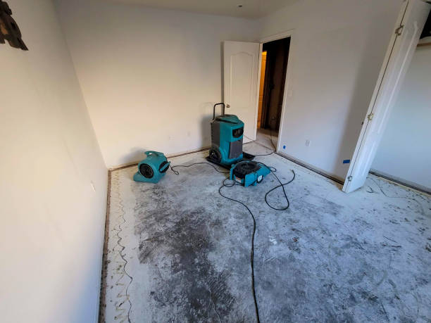 Best Water damage restoration near me  in Hoover, AL