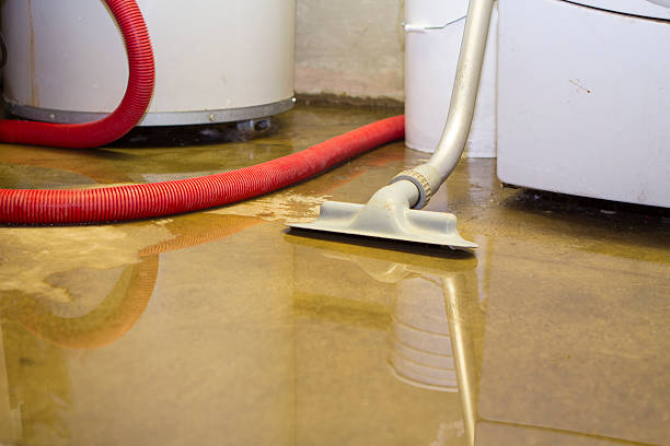 Best Water damage restoration cost  in Hoover, AL