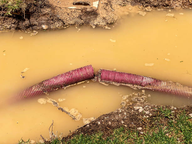 Best Flood damage cleanup  in Hoover, AL
