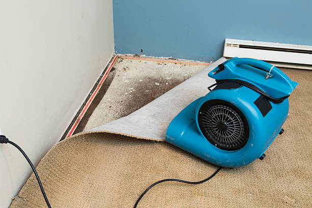 Best Basement water damage restoration  in Hoover, AL